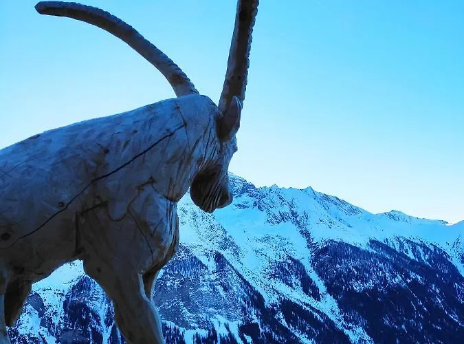 401 Apartment Bergün